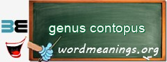 WordMeaning blackboard for genus contopus